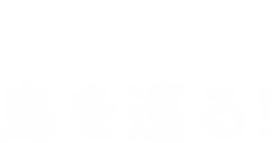 1.島を巡る!