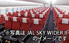 ※写真は JAL SKY WIDER II のイメージです