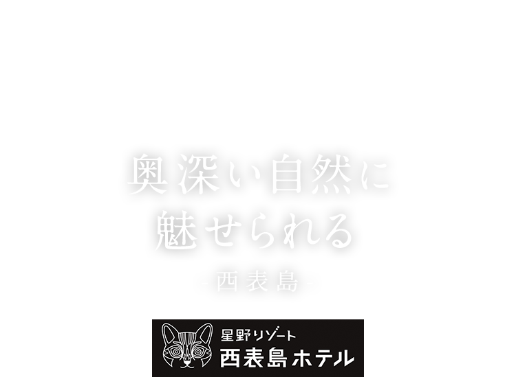 奥深い自然に魅せられる。-西表島-