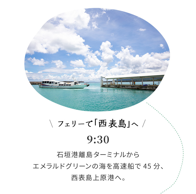 フェリーで西表島へ 9:30 石垣港離島ターミナルからエメラルドグリーンの海を高速船で45分、西表島上原港へ。