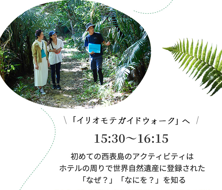 「イリオモテガイドウォーク」へ 15:30～16:15 初めての西表島のアクティビティはホテルの周りで世界自然遺産に登録された「なぜ？」「なにを？」を知る。