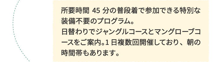 所要時間45分の普段着で参加できる特別な装備不要のプログラム。日替わりでジャングルコースとマングローブコースをご案内。1日複数回開催しており、朝の時間帯もあります。