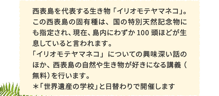 西表島を代表する生き物「イリオモテヤマネコ」。この西表島の固有種は、国の特別天然記念物にも指定され、現在、島内にわずか100頭ほどが生息していると言われます。「イリオモテヤマネコ」についての興味深い話のほか、 西表島の自然や生き物が好きになる講義（無料）を行います。＊「世界遺産の学校」と日替わりで開催します。