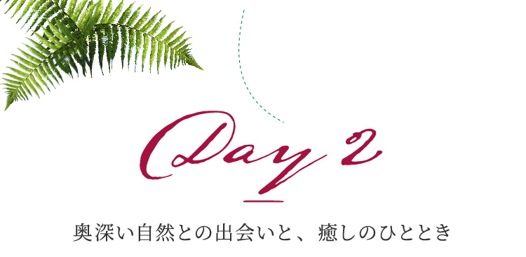 Day 2 奥深い自然との出会いと、癒しのひととき