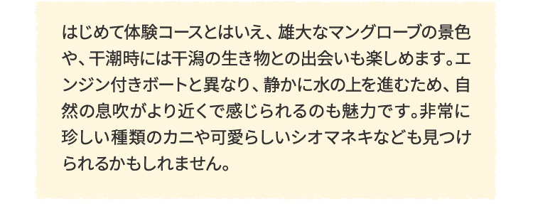 はじめて体験コースとはいえ、雄大なマングローブの景色や、干潮時には干潟の生き物との出会いも楽しめます。エンジン付きボートと異なり、静かに水の上を進むため、自然の息吹がより近くで感じられるのも魅力です。非常に珍しい種類のカニや可愛らしいシオマネキなども見つけられるかもしれません。