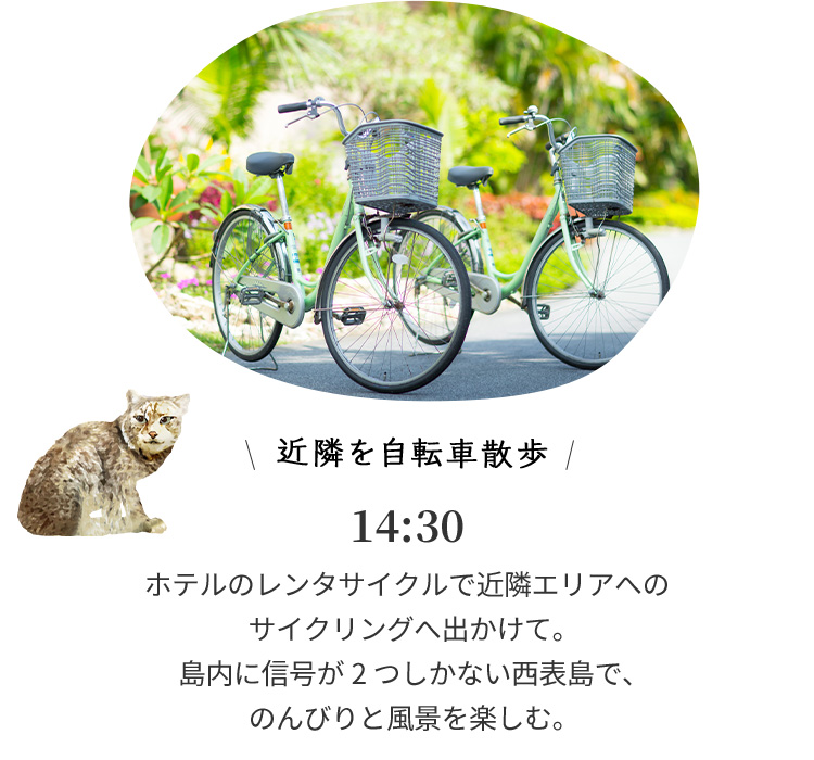 近隣を自転車散歩 14:30 ホテルのレンタサイクルで近隣エリアへのサイクリングへ出かけて。島内に信号が2つしかない西表島で、のんびりと風景を楽しむ。