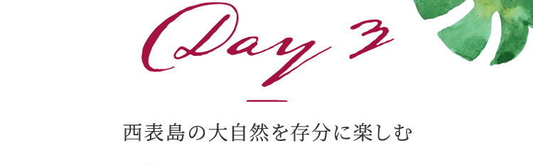 Day 3 西表島の大自然を存分に楽しむ