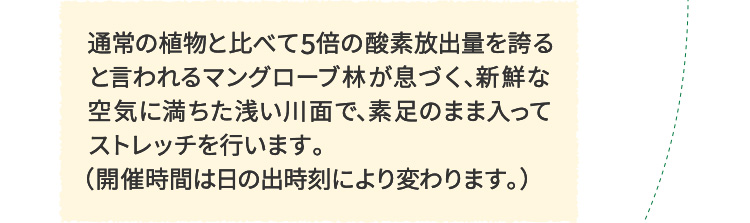 通常の植物と比べて5倍の酸素放出量を誇ると言われるマングローブ林が息づく、新鮮な空気に満ちた浅い川面で、素足のまま入ってストレッチを行います。（開催時間は日の出時刻により変わります。） 