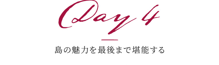 Day 4 島の魅力を最後まで堪能する