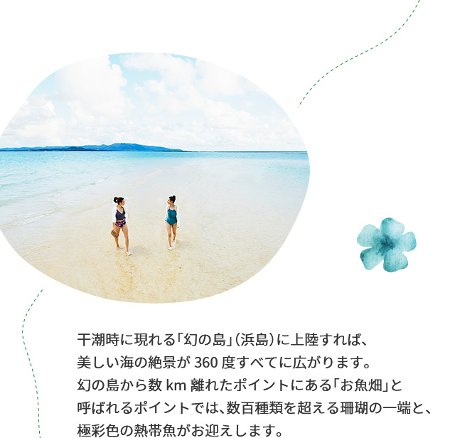 干潮時に現れる「幻の島」（浜島）に上陸すれば、美しい海の絶景が360度すべてに広がります。幻の島から数km離れたポイントにある「お魚畑」と呼ばれるポイントでは、数百種類を超える珊瑚の一端と、極彩色の熱帯魚がお迎えします。