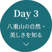 Day 3 八重山の自然・美しさを知る