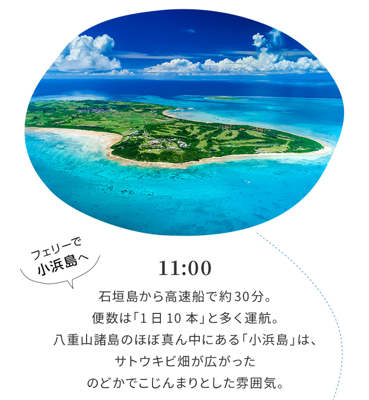 11:00 石垣島から高速船で約30分。便数は「1日10本」と多く運航。八重山諸島のほぼ真ん中にある「小浜島」は、サトウキビ畑が広がったのどかでこじんまりとした雰囲気。