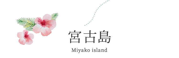 宮古島 Miyako island