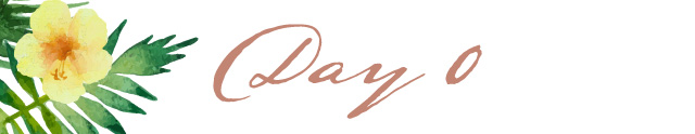 Day0