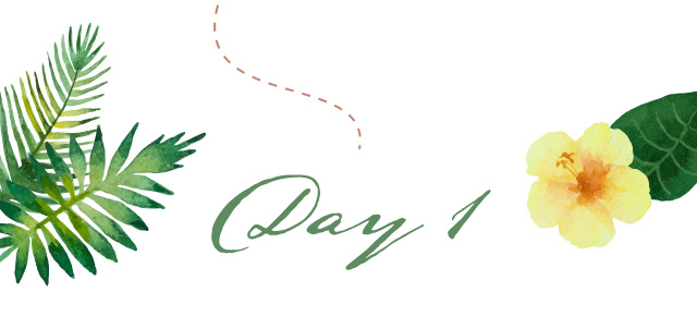 Day1
