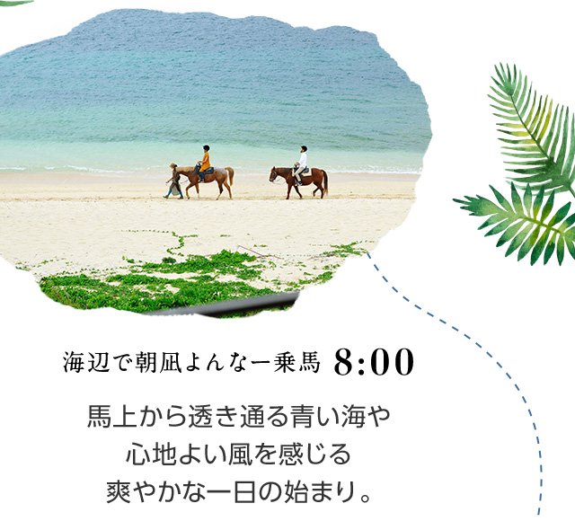 8:00 海辺で朝凪よんなー乗馬 馬上から透き通る青い海や心地よい風を感じる爽やかな一日の始まり。