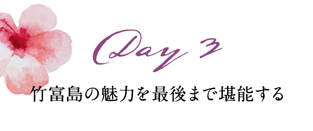 Day3 竹富島の魅力を最後まで堪能する