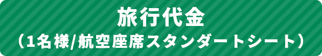 旅行代金（1名様/航空座席スタンダートシート）