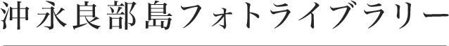 沖永良部島フォトライブラリー