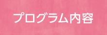 プログラム内容