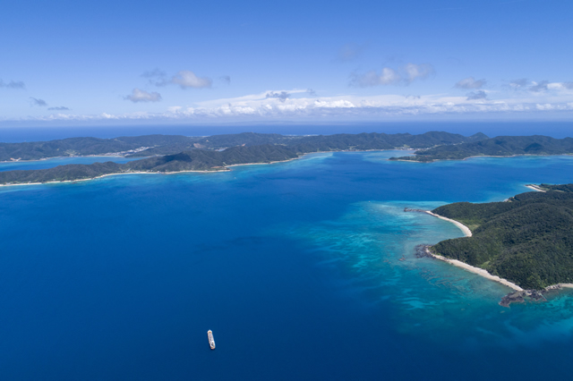 屋久島・奄美大島・徳之島