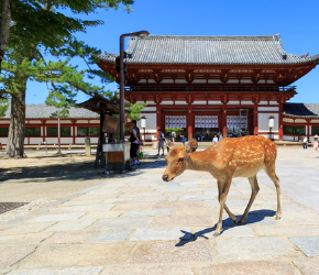古都奈良の文化財