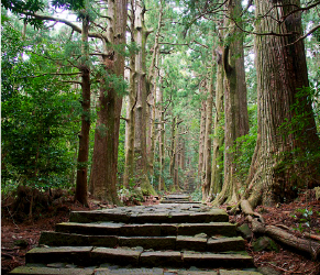 紀伊山地の霊場と参詣道
