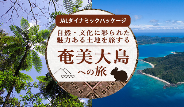縄文杉トレッキング
