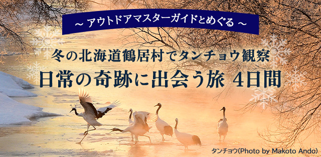 縄文杉トレッキング
