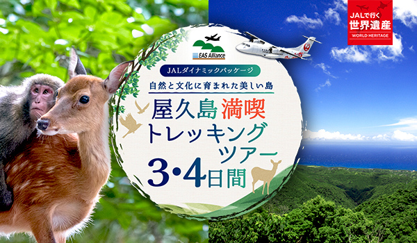 縄文杉トレッキング