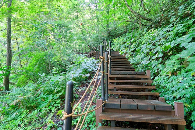 白神山地