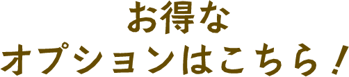 お得なオプションはこちら！