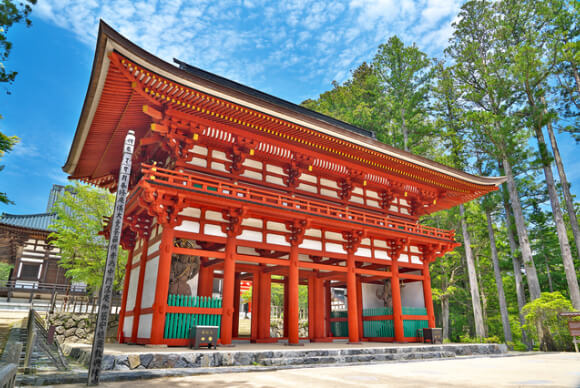 知床のオフスポット