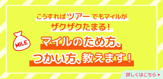 マイルのため方・つかい方教えます！