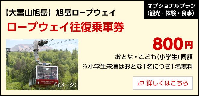 オプション／【大雪山旭岳】旭岳ロープウェイ ロープウェイ往復乗車券　800円　詳しくはこちら