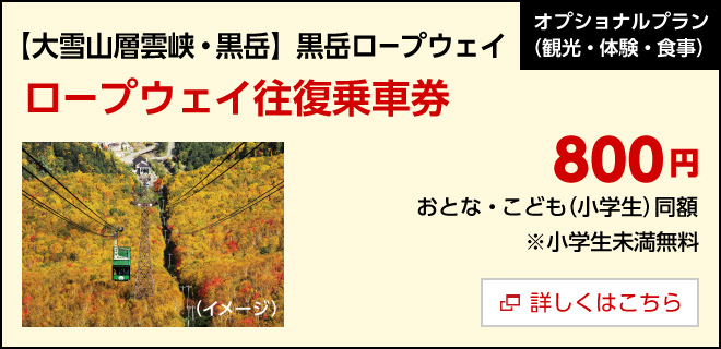 オプション／【大雪山層雲峡・黒岳】黒岳ロープウェイ ロープウェイ往復乗車券　800円　詳しくはこちら