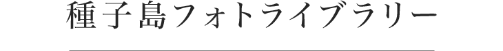 種子島フォトライブラリー