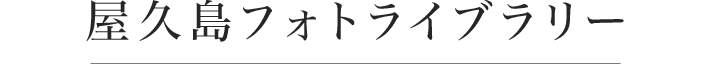 屋久島フォトライブラリー