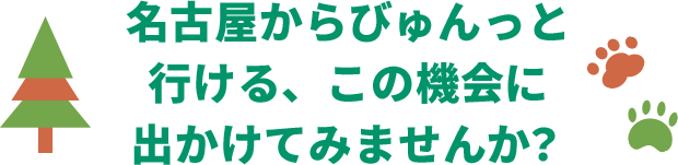 名古屋からびゅんっと行ける、この機会に出かけてみませんか？