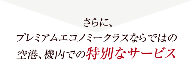 さらに、プレミアムエコノミークラスならではの空港、機内での特別なサービス