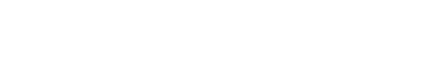 オプショナルツアー