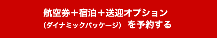 航空券+宿泊+送迎