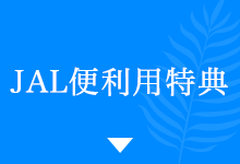 JAL便利用特典