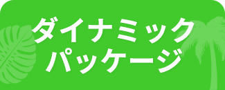 ダイナミックパッケージ