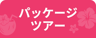 パッケージツアー