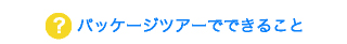 パッケージツアーでできること