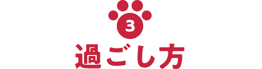 3 過ごし方