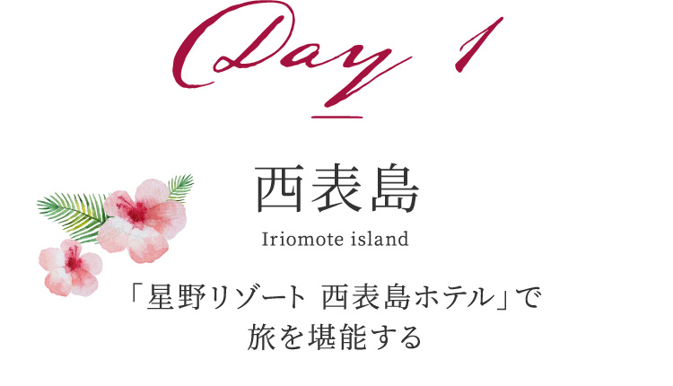 Day 1 西表島 「星野リゾート 西表島ホテル」で旅を堪能する