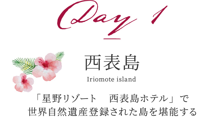 Day 1 西表島 「星野リゾート 西表島ホテル」で世界自然遺産登録された島を堪能する