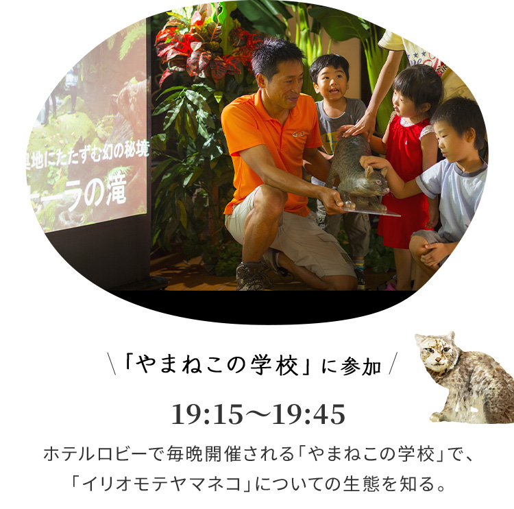 「やまねこの学校」に参加 19:15~19:45 ホテルロビーで毎晩開催される「やまねこの学校」で、「イリオモテヤマネコ」についての生態を知る。